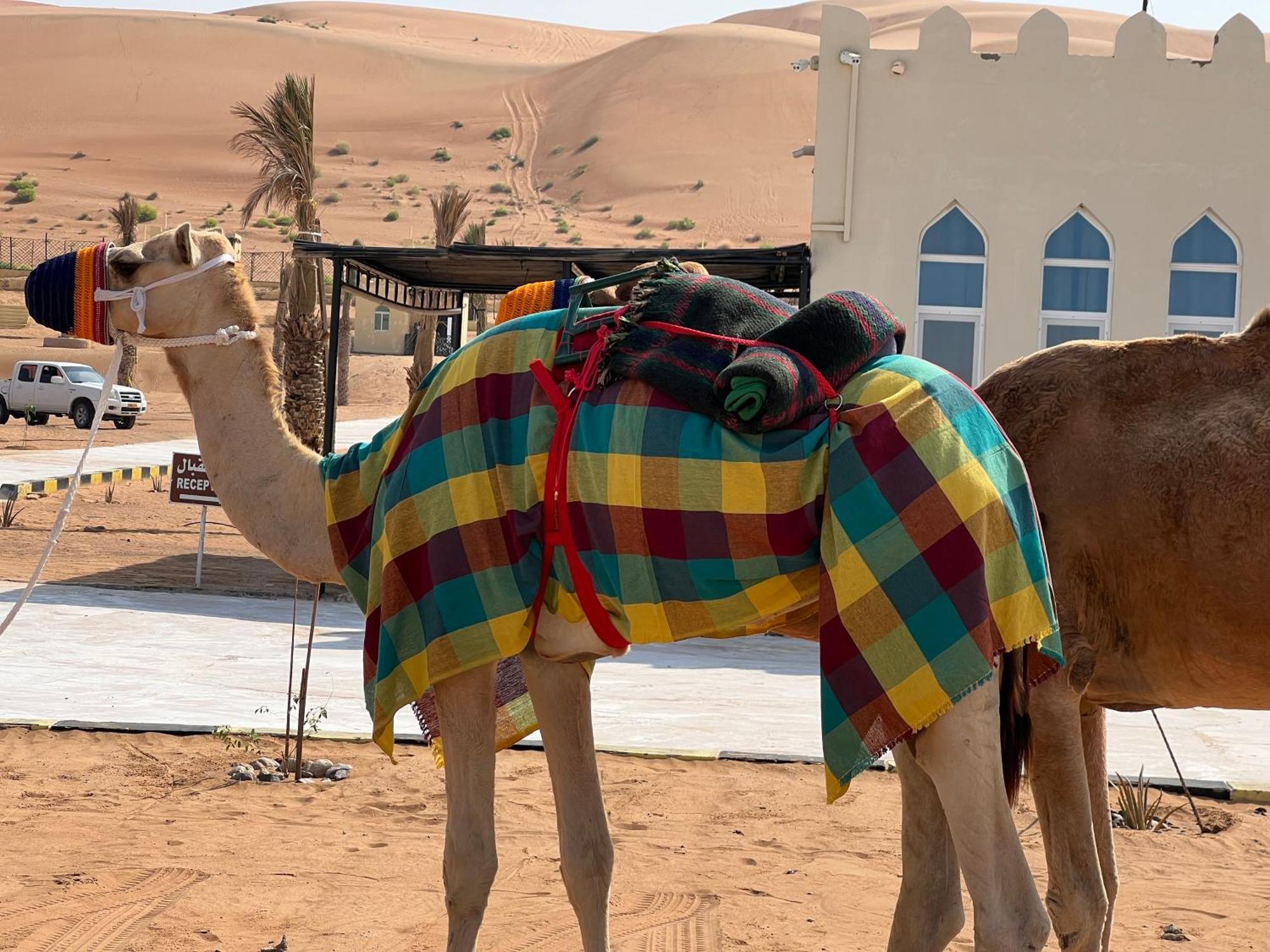 فندق Al Salam Desert Camp Badīyah المظهر الخارجي الصورة